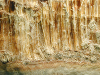 Where is Asbestos?